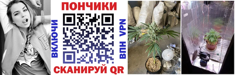 Виды наркоты Алексеевка Бошки Шишки  Псилоцибиновые грибы  ГАШИШ  Alpha-PVP 